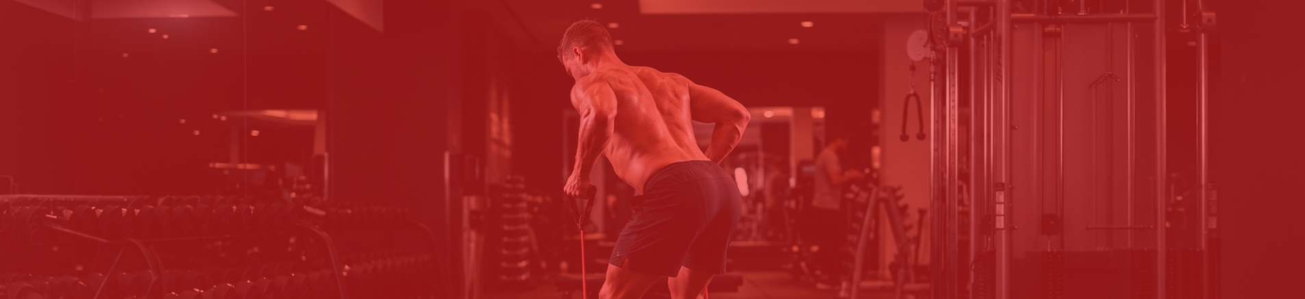 AB Roller & Knee PAD